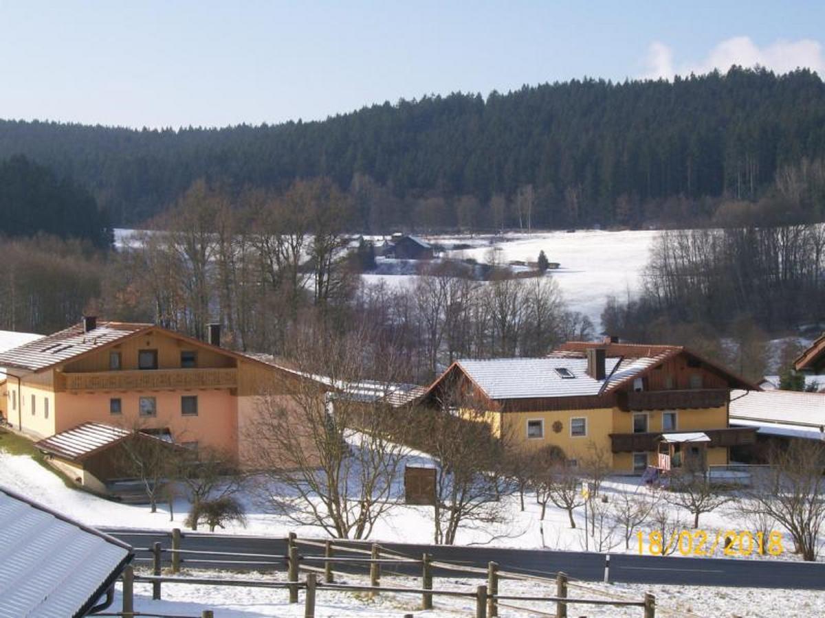 Fischer Willi Bad Koetzting Exterior photo